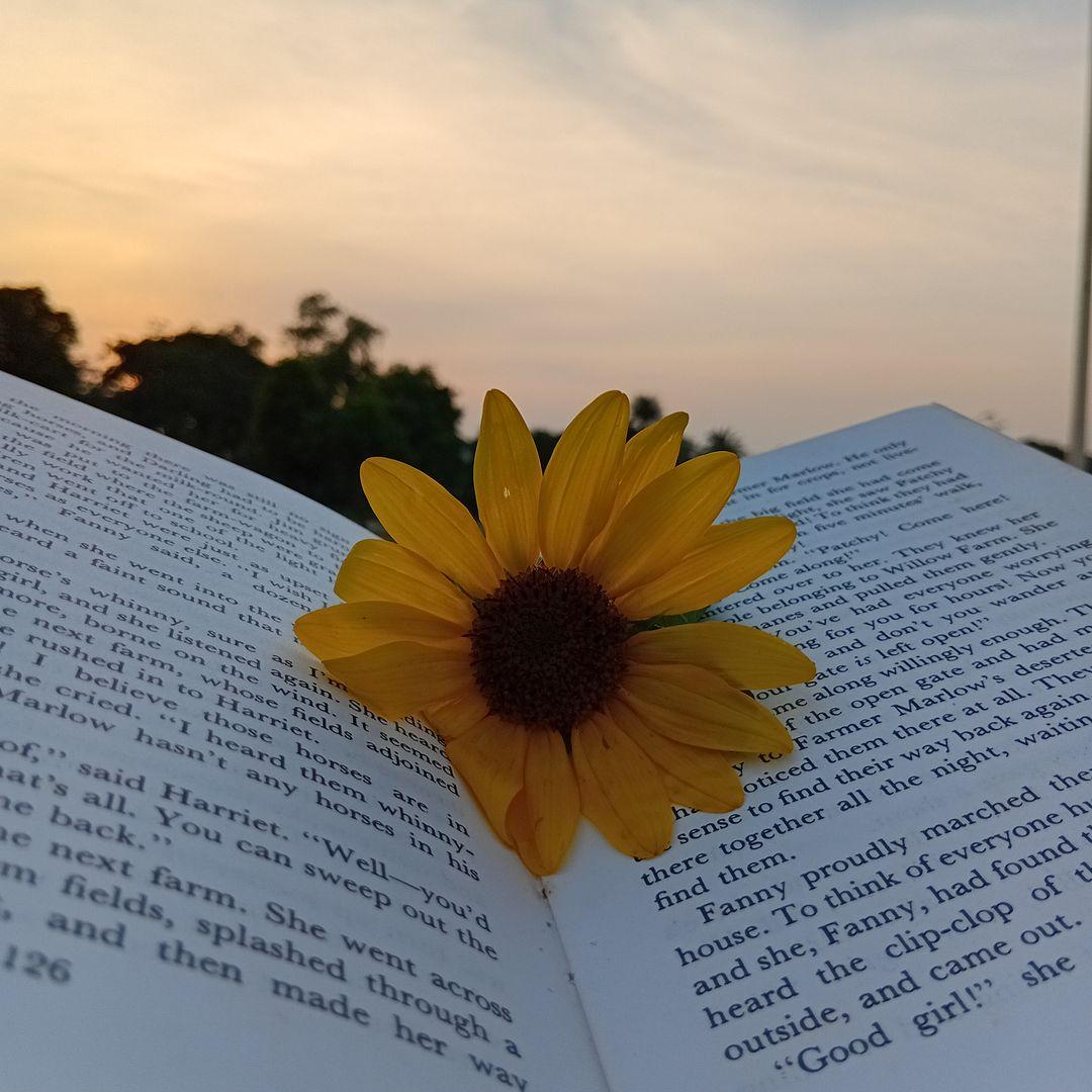 Irsa Akhtar  — content creator on Collabscafe